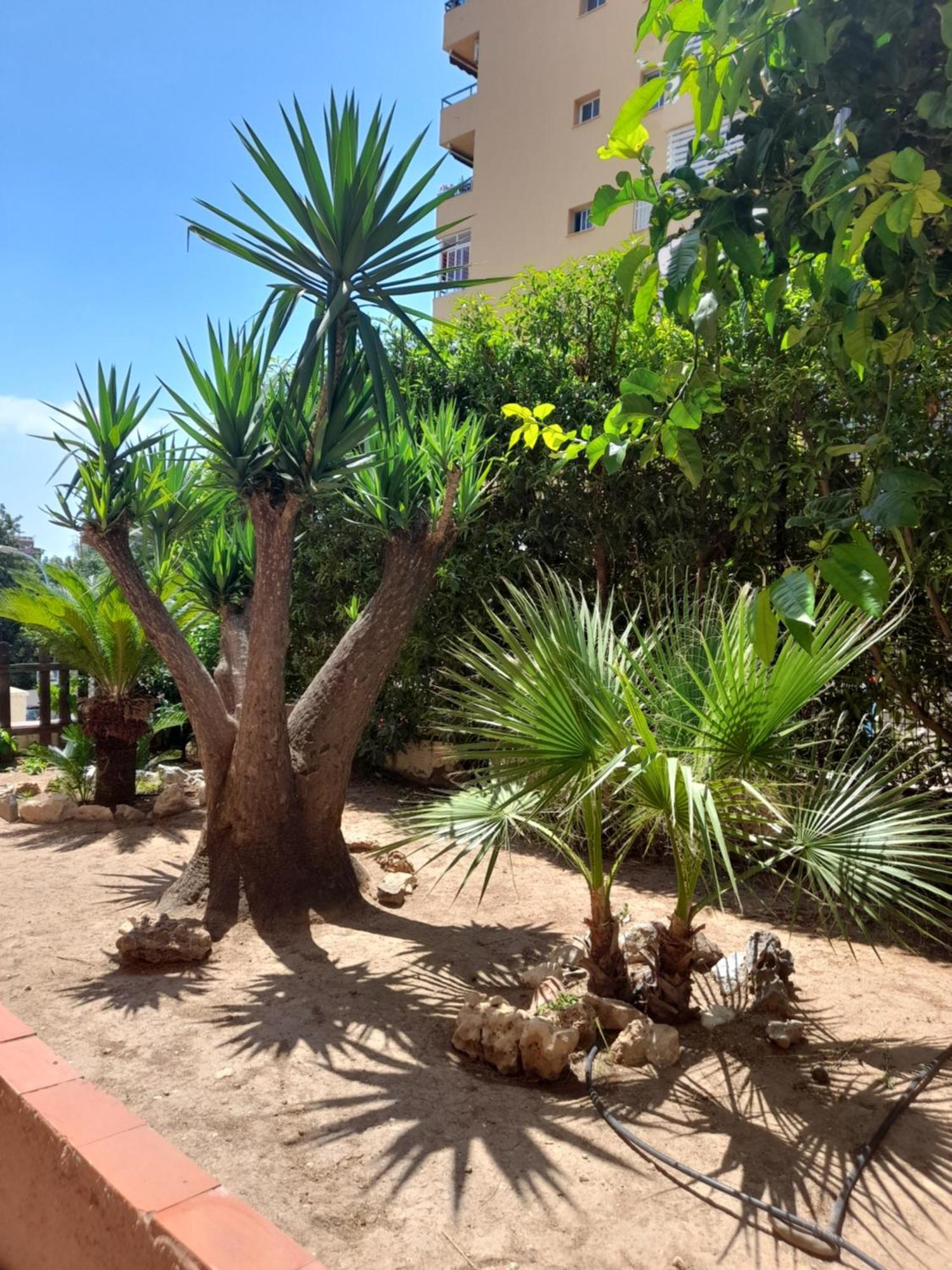 Torremolinos Centro Beach公寓 外观 照片